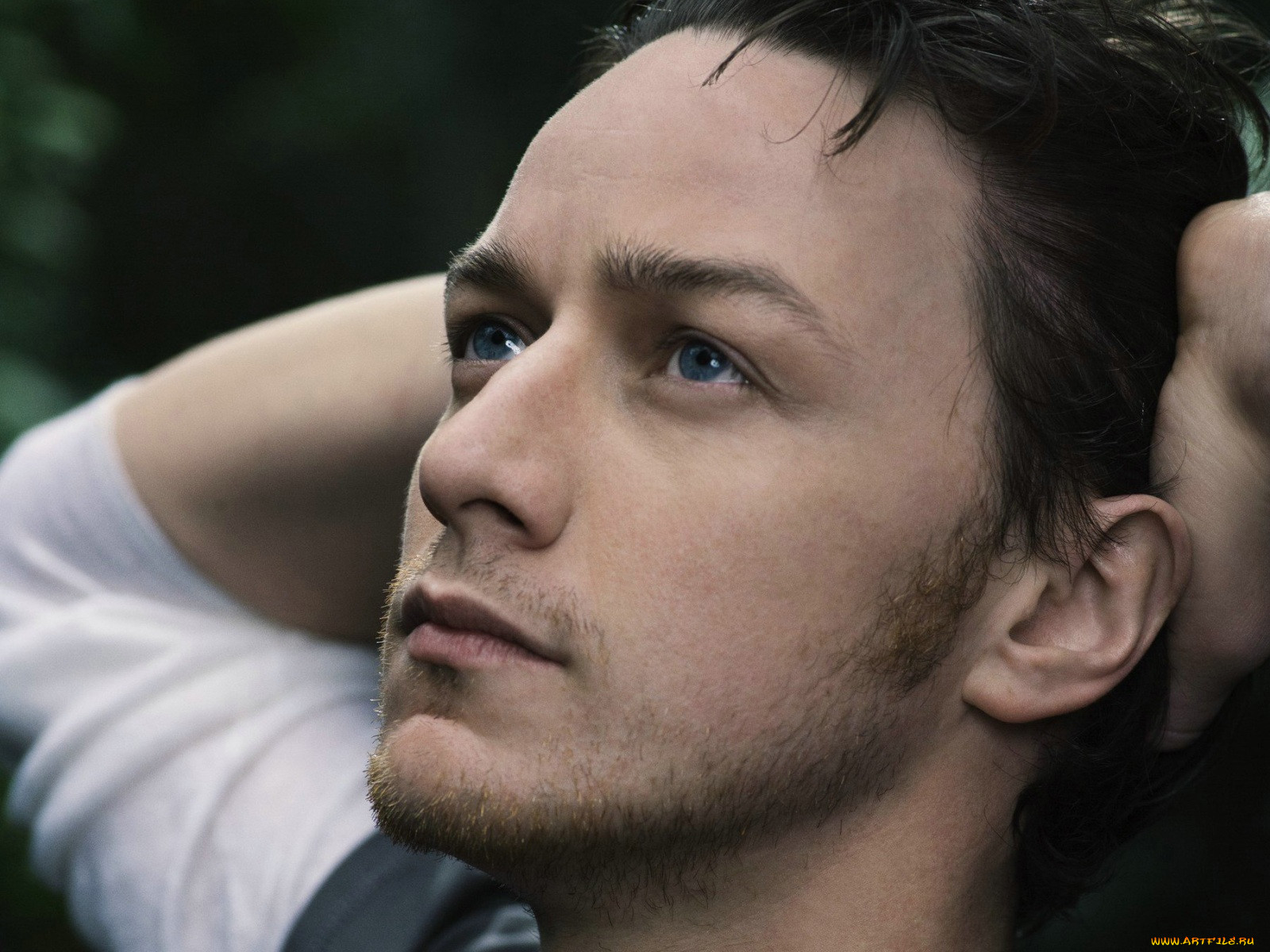 james, mcavoy, 